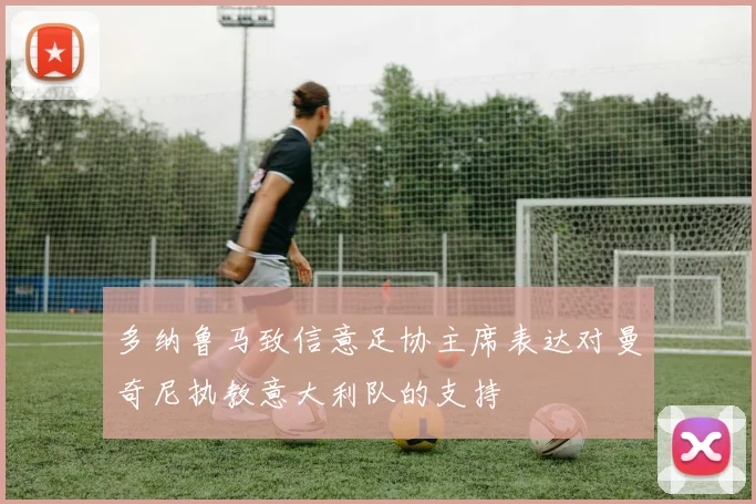 多纳鲁马致信意足协主席表达对曼奇尼执教意大利队的支持